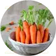 1 medium carrot, peeled and grated