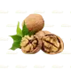 30g Walnuts, halves (अखरोट)