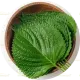 20-25 perilla leaves (kkaennip)