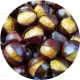 100g Chestnut Paste (चेस्टनट पेस्ट)