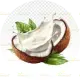 1 cup low-fat coconut milk