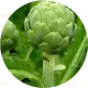 8 purple globe artichokes