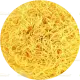 50g Nylon Sev (नायलॉन सेव)