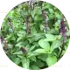 1/4 cup Fresh Basil Leaves, chopped (ताज़ा तुलसी पत्ते)
