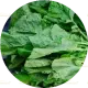 100g Mustard Greens, chopped (सरसों का साग)