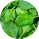 300g fresh spinach leaves, washed and roughly chopped