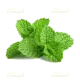 1 handful fresh mint leaves