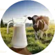 1000ml Full‑fat Cow Milk (गाय का पूरा दूध)