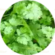 2 tbsp coriander, chopped (2 टेबलस्पून धनिया, कटा हुआ)