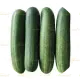 2 Cucumbers, sliced (खीरा)