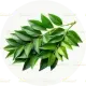 8 to 10 curry leaves (or 1 sprig curry leaves)