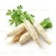 100g Radish (শালগম)
