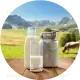 250 ml low‑fat cow’s milk (or 250 ml unsweetened almond/soy milk for vegan version)