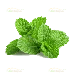 Fresh mint leaves