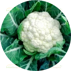 3 cups cauliflower florets