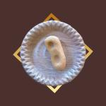Rajasthani Peda