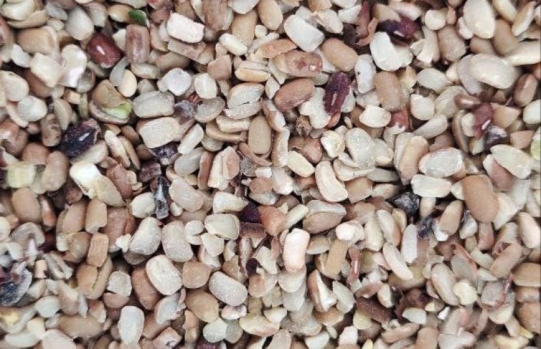 Why MaBapu Foods’ Moth Bajra Khichdi Is Special Yet So Affordable